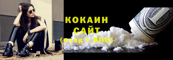 ешки Арсеньев